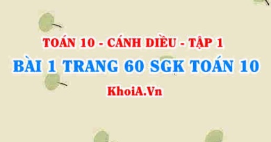 Bài 1 trang 60 SGK Toán 10 tập 1 Cánh Diều